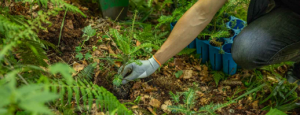 Klimaschutzprojekt_2_Baumpflanzinitiative